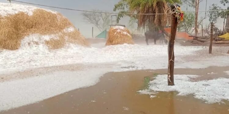 केशकाल में ओलावृष्टि: गांवों में बर्फ की चादर, फसलें चौपट