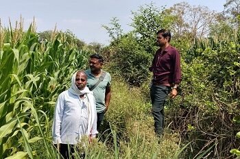 अवैध अफीम खेती पर प्रशासन सख्त