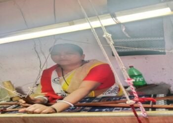 महतारी वंदन योजना से मिली नई राह, गीतांजली बनी आत्मनिर्भर