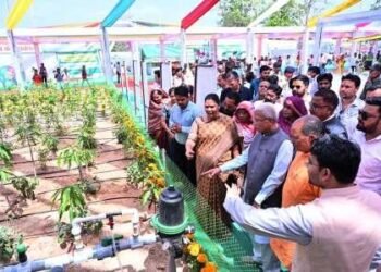 बस्तर का आखिरी बड़े कैडर का नक्सली पापाराव करेगा सरेंडर