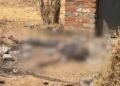 मोबाइल पासवर्ड बदलने पर दोस्त को मार-डाला:सक्ती में एक ने कपड़े से गला घोंटा, सांस चलता देख दूसरे ने ईंट से सिर कुचला