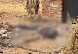 मोबाइल पासवर्ड बदलने पर दोस्त को मार-डाला:सक्ती में एक ने कपड़े से गला घोंटा, सांस चलता देख दूसरे ने ईंट से सिर कुचला