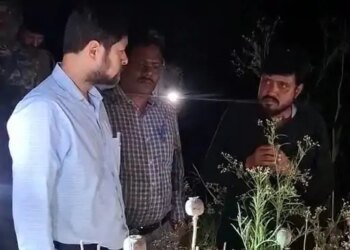 अफीम की खेती उजागर करने वाले को जान का खतरा