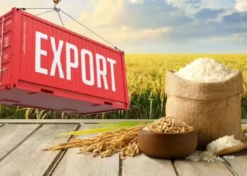 पश्चिम एशिया युद्ध से हिली देश की बासमती चावल इंडस्ट्री, शिपमेंट में देरी ने बढ़ाई चिंता, किसानों पर भी असर