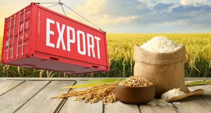 पश्चिम एशिया युद्ध से हिली देश की बासमती चावल इंडस्ट्री, शिपमेंट में देरी ने बढ़ाई चिंता, किसानों पर भी असर