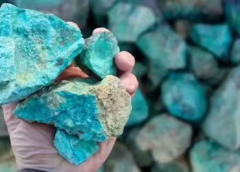 कभी चीन तो कभी चिली, इस ‘खजाने’ के लिए भागा-भागा फिर रहा अमेरिका, भारत की क्या तैयारी?