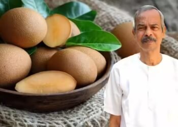 नौकरी छोड़कर पहुंच गए गांव, कुछ अलग किया काम और बन गए करोड़पति