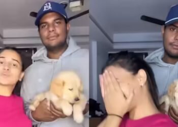 यश दयाल की शादी के बाद ये वीडियो वायरल, वाइफ श्वेता संग इस अंदाज में दिखा क्रिकेटर