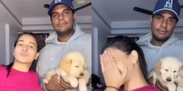 यश दयाल की शादी के बाद ये वीडियो वायरल, वाइफ श्वेता संग इस अंदाज में दिखा क्रिकेटर