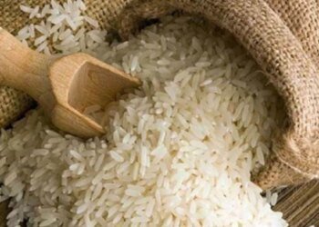 नुकसान की भरपाई न करने से MP की 1200 राइस मिलों पर वित्तीय संकट, इनमें से 700 हो गई बंद