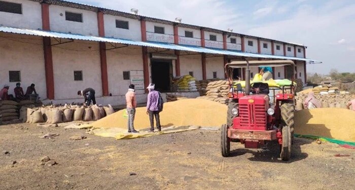 MP मे बार-बार गेहूं उपार्जन की तारीख बढ़ाने से भारतीय किसान संघ नाराज, आंदोलन की दी चेतावनी, तीसरी बार बढ़ी है तिथि