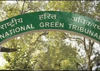 ‘पेड़ों के चारों ओर कंक्रीट डालना उनकी हत्या जैसा…’, एनजीटी की भोपाल नगर निगम और PWD को फटकार