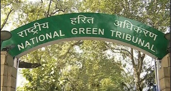 ‘पेड़ों के चारों ओर कंक्रीट डालना उनकी हत्या जैसा…’, एनजीटी की भोपाल नगर निगम और PWD को फटकार