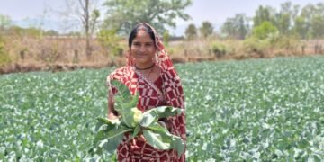 साय सरकार की पहल से सशक्त हुई महिलाएं : हमेश्वरी राठौर बनीं “लखपति दीदी”