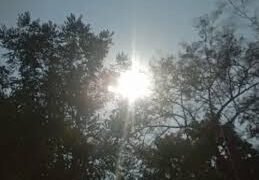 छत्तीसगढ़ में कल से हीट वेव का अलर्ट:4 दिन 4 डिग्री बढ़ेगा तापमान, बिलासपुर-रायपुर और दुर्ग के लोगों को सतर्क रहने की सलाह