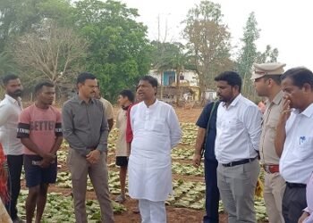 वन मंत्री केदार कश्यप ने दहिकोंगा तेंदूपत्ता फड़ का किया निरीक्षण