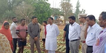 वन मंत्री केदार कश्यप ने दहिकोंगा तेंदूपत्ता फड़ का किया निरीक्षण