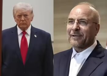 ‘कोई हमारे पायलटों को ढूढ़ सकता है?’ ईरानी संसद के स्पीकर ने उड़ाया अमेरिका का मजाक, F-15 गिराए जाने पर कही ये बात