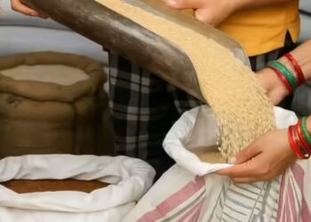 NFSA राशन वितरण का नया शेड्यूल जारी, अप्रैल से जून तक का रोडमैप तैयार, समय पर मिलेगा अनाज