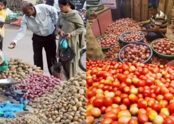 जनवरी से आधे रह गए सब्जियों के दाम, इस गिरावट की वजह