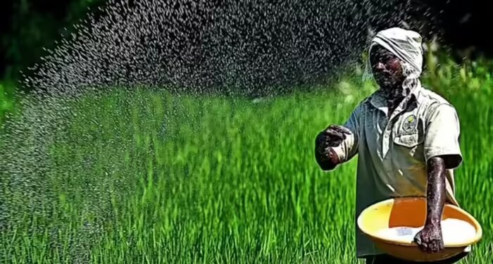 समंदर में संकट, सब्सिडी का दबाव… खाद आयात बिगाड़ सकता है भारत का बजट, क्या किसानों पर पड़ेगा बोझ?