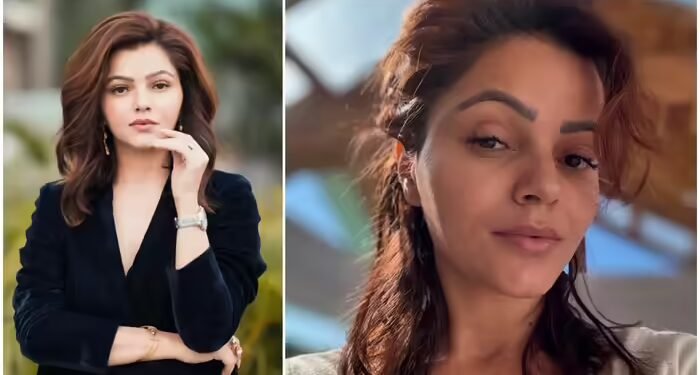 ‘मैंने सबसे नाता तोड़ लिया’, रुबीना दिलैक बोलीं- प्रेग्‍नेंसी में करीबियों ने दिया दगा, कोई साथ नहीं था