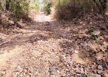 आजादी के 79 साल बाद भी विकास की राह देख रहा कोत्तापल्ली
