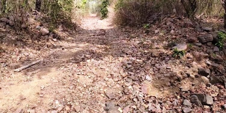 आजादी के 79 साल बाद भी विकास की राह देख रहा कोत्तापल्ली