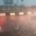 बिहार में भारी बारिश, 20 जिलों में दिन में अंधेरा:यूपी में 100 kmph का तूफान, एमपी के 6 जिलों में शाम को ओले गिर सकते हैं