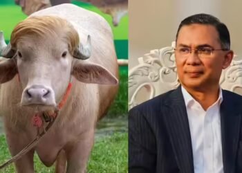 ‘डोनाल्ड ट्रंप’ भैंसे की बांग्लादेश में नहीं दी जाएगी कुर्बानी, तारिक रहमान सरकार ने लिया फैसला, अमेरिका से डरे?