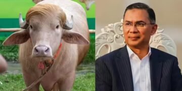 ‘डोनाल्ड ट्रंप’ भैंसे की बांग्लादेश में नहीं दी जाएगी कुर्बानी, तारिक रहमान सरकार ने लिया फैसला, अमेरिका से डरे?