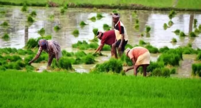 खेती पर अल नीनो का होगा असर? किसानों को मौसम की मार से बचाने के लिए केंद्र सरकार है तैयार