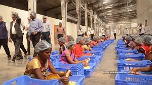 आबू धाबी फूड हब में इंडो फूड पार्क! भारतीय कंपनियों को ऐसे मिलेगा हजारों करोड़ का कारोबार