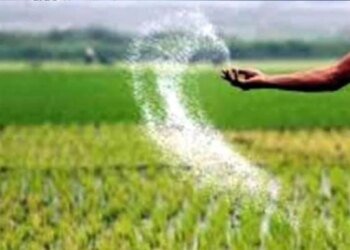 खरीफ सीजन 2026 से पहले MP में खाद की गारंटी, टोकन बनते ही मिलेगा उर्वरक