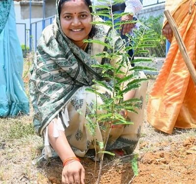 विश्व पर्यावरण दिवस पर मंत्री लक्ष्मी राजवाड़े ने किया पौधरोपण