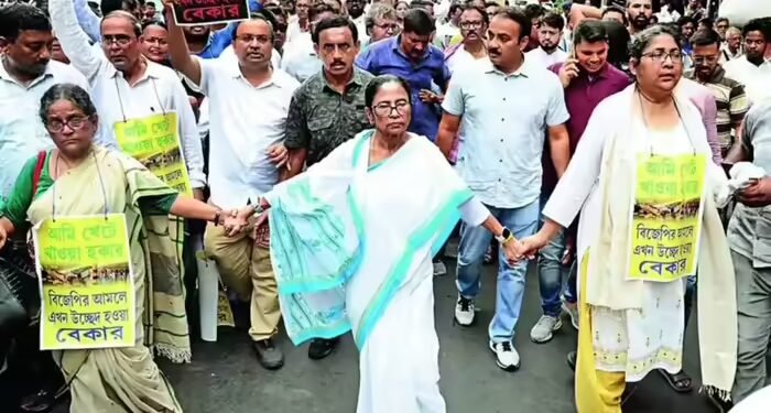 एनसीपीआई के नए अध्यक्ष कौन? सोच में पड़े हैं पार्टी के संस्थापक, बस नाम के साथ देखी है परछाई