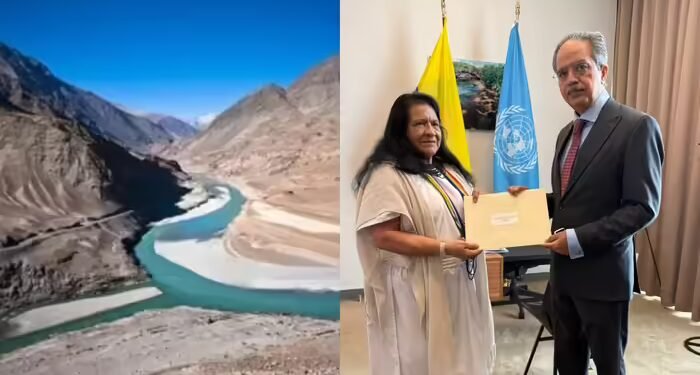 पाकिस्तान ने सिंधु जल संधि पर UNSC के सामने लगाई गुहार, इशाक डार ने रोया भारत की हाइड्रो हेजेमनी का रोना