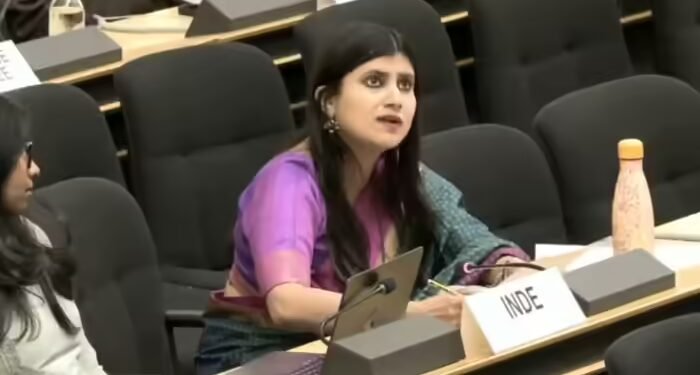 ‘PoK में रोटी की मांग पर गोलियां मिलीं’, भारत ने UNHRC में पाकिस्तान की उधेड़ी बखिया, कश्मीर पर OIC को सुना दी दो टूक