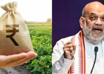 दलहन और तिलहन का एक-एक दाना खरीदें’, किसानों को मिलेगा पूरा दाम, अमित शाह ने दिया NAFED और NCCF को आदेश