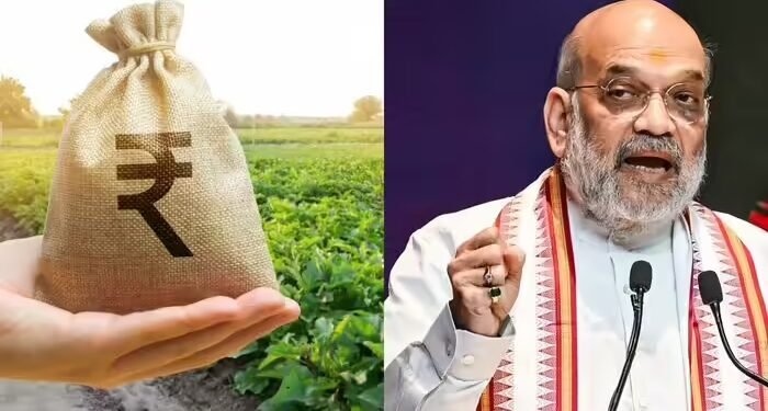 दलहन और तिलहन का एक-एक दाना खरीदें’, किसानों को मिलेगा पूरा दाम, अमित शाह ने दिया NAFED और NCCF को आदेश