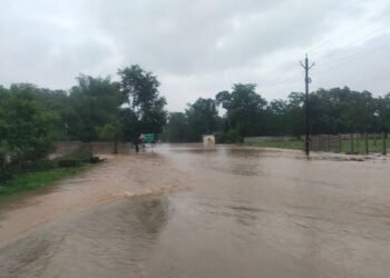 बालाघाट- 24 घंटे में 3 इंच बारिश, नदी-नाले उफान पर