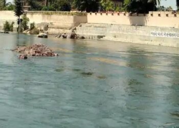 बेतवा को प्रदूषण मुक्त बनाने बन रही साइंटिफिक प्लानिंग