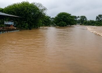 बीजापुर में चार दिनों की मूसलाधार बारिश से जनजीवन अस्त-व्यस्त, 100 से अधिक गांवों का जिला मुख्यालय से टूटा संपर्क