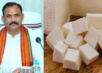 अब छत्‍तीसगढ़ में एनालॉग पनीर बैन:पाम ऑयल और मिल्क पाउडर से बनता था