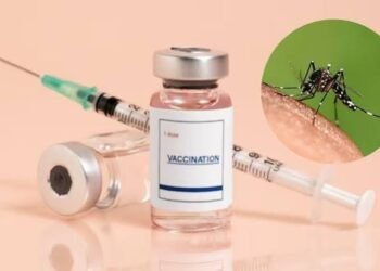 भारत में पहली डेंगू वैक्सीन QDENGA को मंजूरी:बिना किसी जांच के 4 से 60 साल तक के लोग ले सकेंगे डोज, देश में ही बनेगी