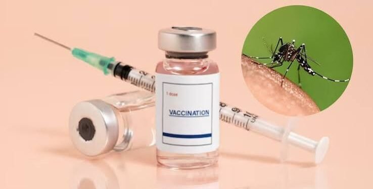 भारत में पहली डेंगू वैक्सीन QDENGA को मंजूरी:बिना किसी जांच के 4 से 60 साल तक के लोग ले सकेंगे डोज, देश में ही बनेगी