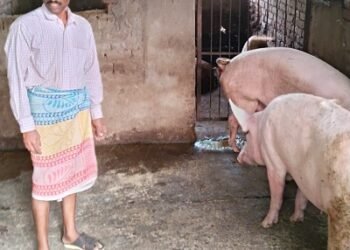 छोटी शुरुआत, बड़ी सफलता: सूकर पालन से आत्मनिर्भर बने अशोक कुमार चांद