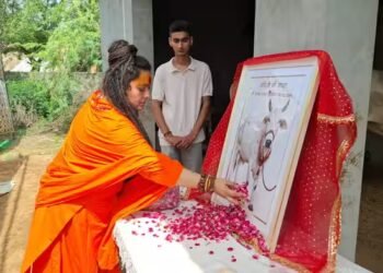 हरियाणा में गाय की तेरहवीं पर 11 गांवों को दिया गया न्योता, लगाया गया 650 किलो रसगुल्लों का भोग, देखें तस्वीरें