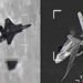 अमेरिकी F-35 को भाव नहीं देता राफेल, बिना ‘स्टील्थ तकनीक’ के भी आसमान का सबसे बड़ा शिकारी क्यों है