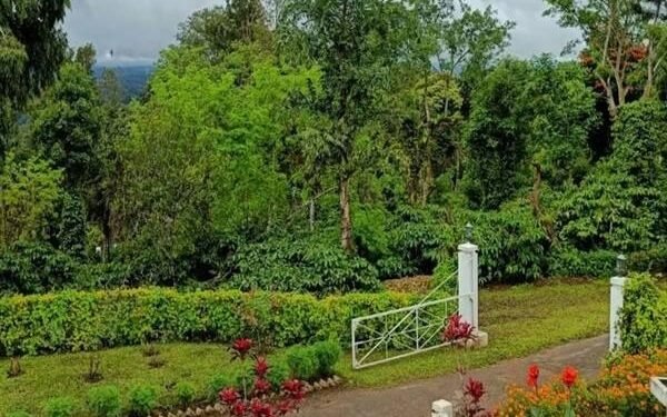 प्राकृतिक सौंदर्य से भरपूर बैतूल का कुकरू: इस मानसून जरूर करें मध्य भारत के इस शानदार हिल स्टेशन की सैर